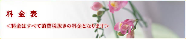 料金表 福岡 赤坂クリニック 美容整形 美容外科 美容皮膚科のしみ ヒアルロン酸を福岡で